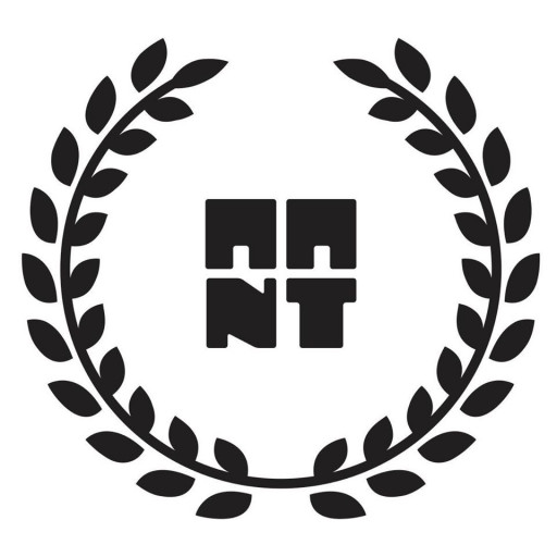 Академия искусств и новых технологий " Институт искусств имени Дуфина" logo
