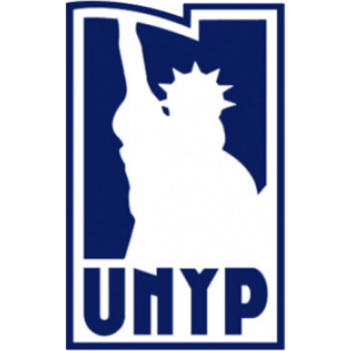 Университет Нью-Йорка в Праге logo