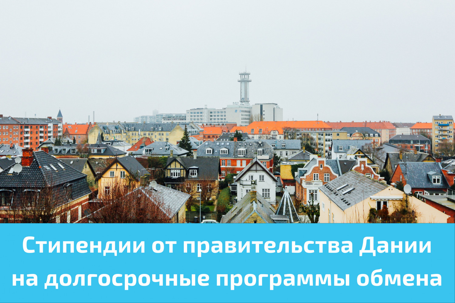 Стипендии от правительства Дании на долгосрочные программы обмена