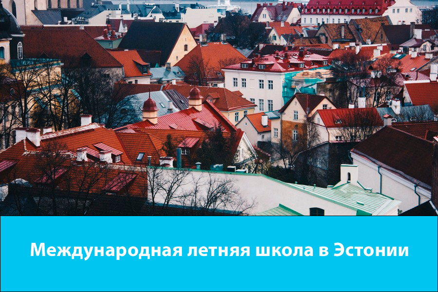 Международная летняя школа в Эстонии